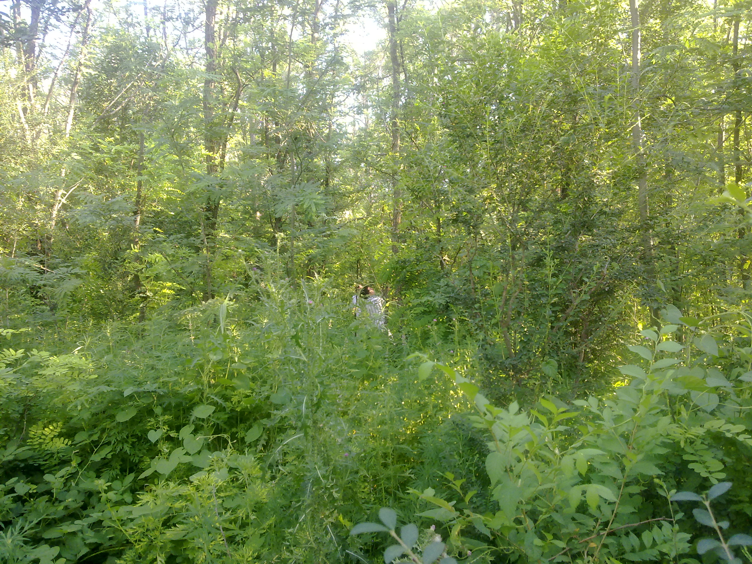 fotos/2011-01-23 - Los reartes/23012010085.jpg